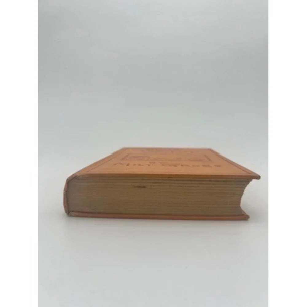 Nize Baby Milt Gross 1926 Hardcover George H Doran Illustrated Vintage Book